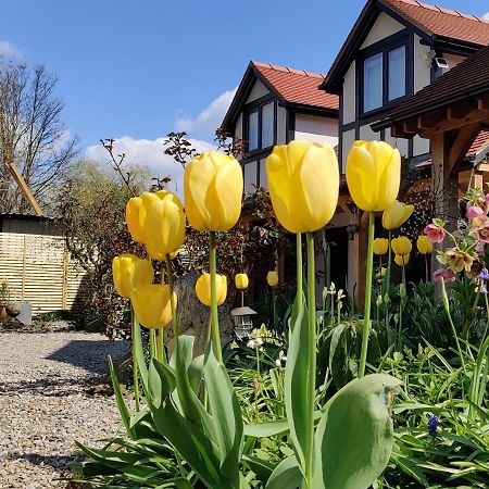 Delightful & Picturesque Modern Detached Apartment, Next To Chester Zoo, Near Park And Ride To City Centre Eksteriør billede