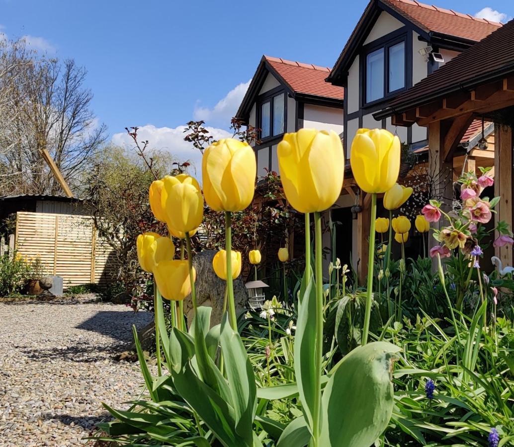 Delightful & Picturesque Modern Detached Apartment, Next To Chester Zoo, Near Park And Ride To City Centre Eksteriør billede